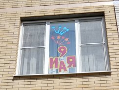 img (6)